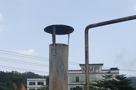 ssge